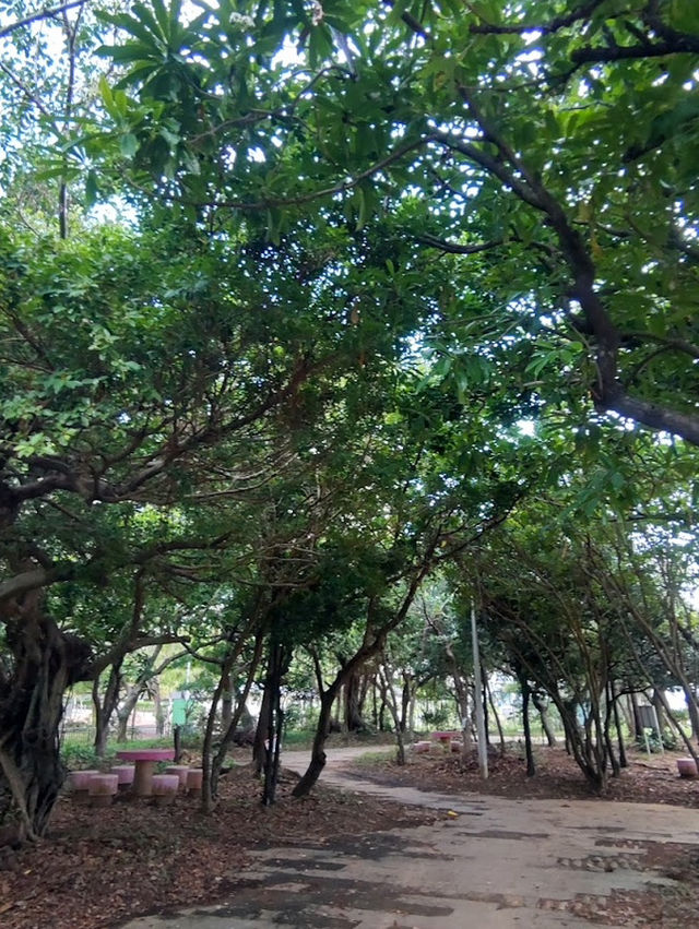 Manko Park (漫湖公園)