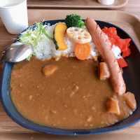 【めいほうスキー場⛷️】