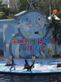 探秘深圳野生動物園：與自然共舞的奇妙旅程🐾