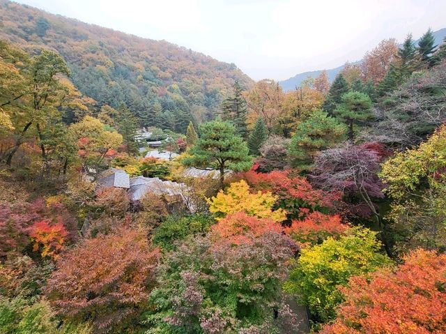 봄, 가을에 가장 아름다운 곳