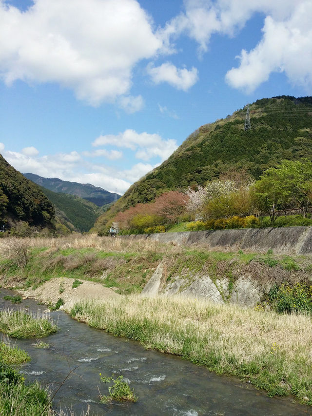 嵐山嵯峨野小火車🚂，脫離現實世界二十五分鐘之旅