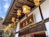 比叡山延曆寺，徜徉杉林古剎、搭纜車賞琵琶湖