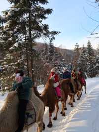 A Camel's Journey Through Snow Valley’s Winter Magic