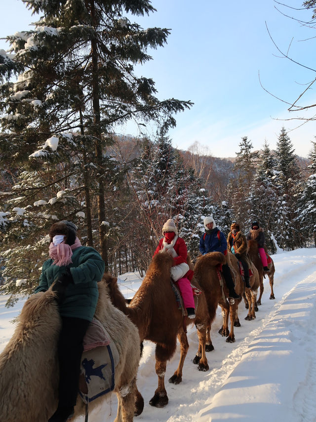 A Camel's Journey Through Snow Valley’s Winter Magic
