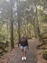 Tasmania Explorer