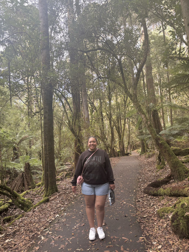 Tasmania Explorer