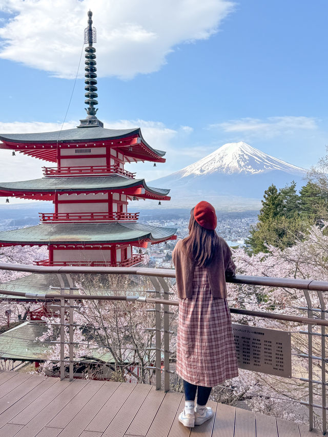แจกแพลนเที่ยวญี่ปุ่น 4 วัน ชม Mt.Fuji & ซากุระฉ่ำๆ