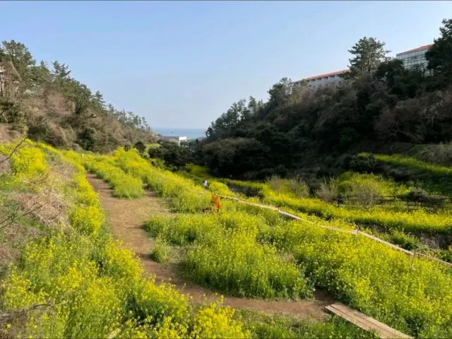 Eongdeongmul Valley