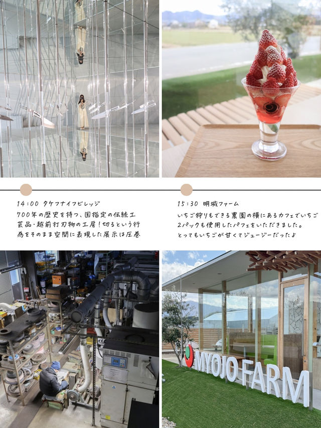 【福井】越前ならここ行って！2泊3日旅行プラン🚄