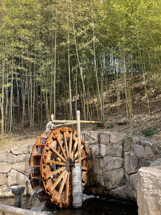 죽녹원