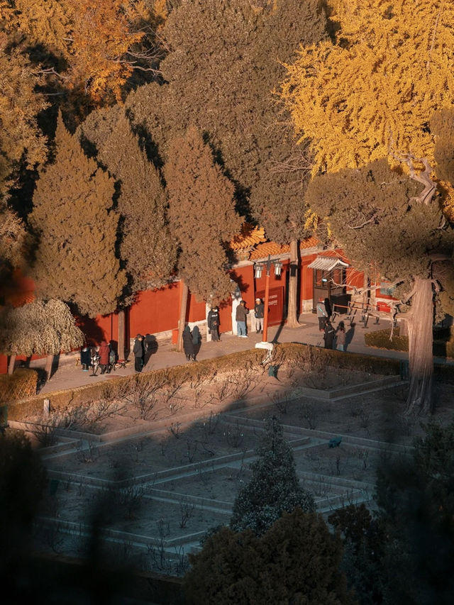 Fall Foliage & Views at Jingshan Park 🍁🍂