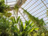 Sefton Park: A must visit Park in Liverpool!