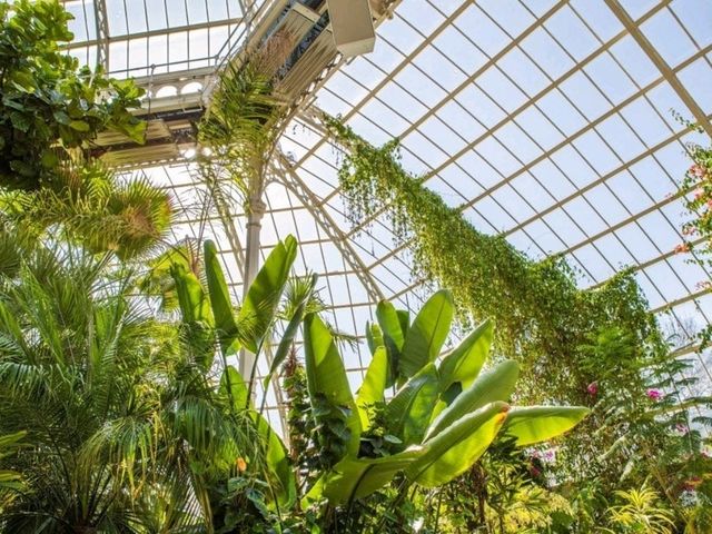 Sefton Park: A must visit Park in Liverpool!