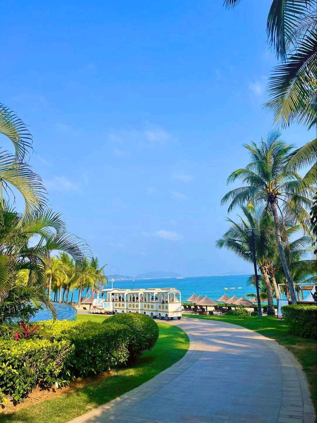 Sanya: The Tropical Paradise Where Worries Drift Away