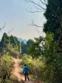 A scenic trek up to a hidden Temple