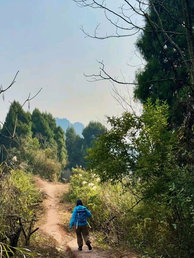 A scenic trek up to a hidden Temple