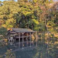 兼六園 (Kenrokuen, Kanazawa) – 日本三名園の一つ、美しき庭園
