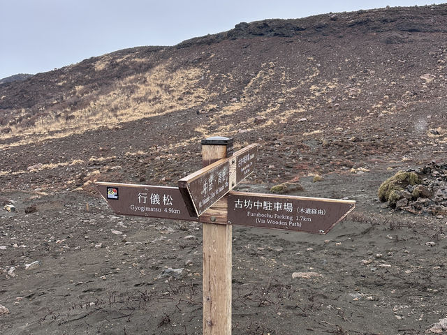 福岡一日遊行程🪄阿蘇火山與草千里 🌋🌿