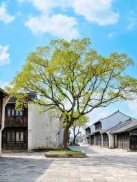 Gongchen Gate: A Gateway to Jiangnan’s Timeless Charm