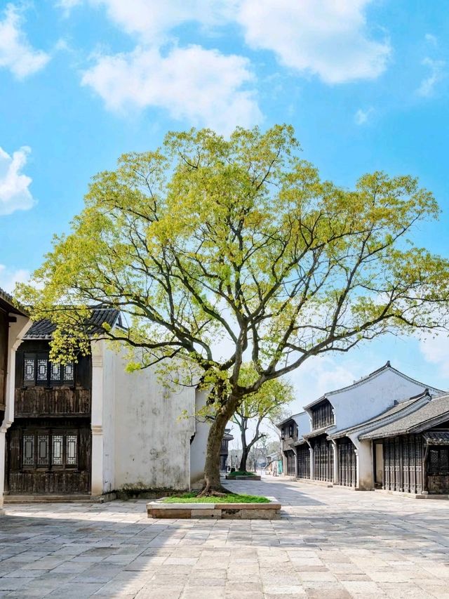 Gongchen Gate: A Gateway to Jiangnan’s Timeless Charm