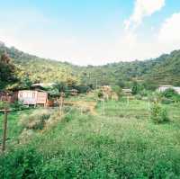 Mori Natural Farm โมริ เนเชอรัลฟาร์ม เชียงใหม่ 🏮🛖