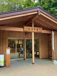 🏛️【北海道神宮＆神宮茶屋で過ごす、歴史と自然のひととき】 