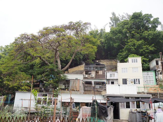 หมู่บ้านชาวประมง Tai O 