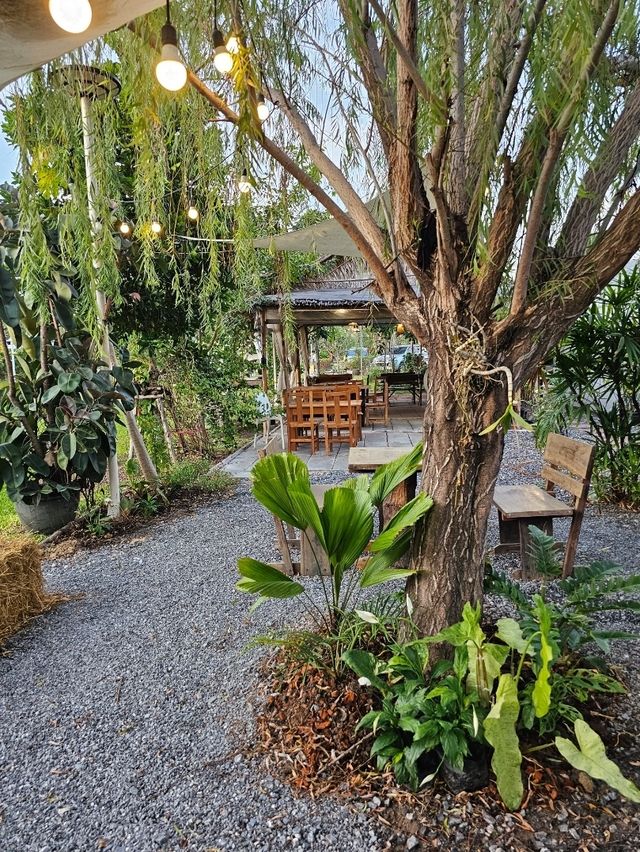 ร้าน WHITE CACTUS