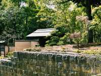 利休の師匠、堺の文化の礎にふれる像🗿🌿