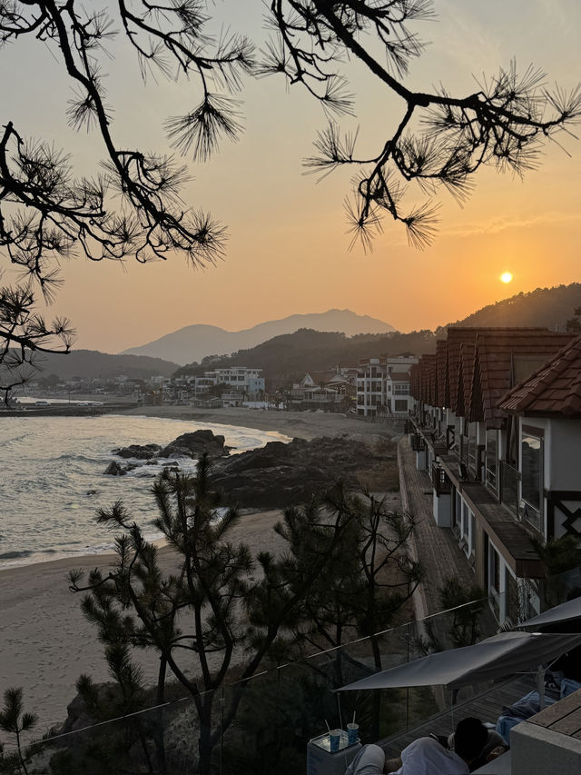 기장 대표 오션뷰 대형카페 웨이브온🌊