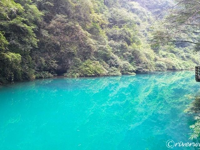 【中国】まるで精霊の住処！「張家界大峡谷」