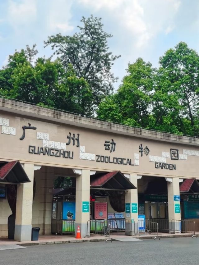 Guangzhou Zoo– A Green Oasis in the Heart of the City