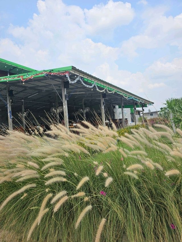 ครัวฉันทนา | ราชบุรี