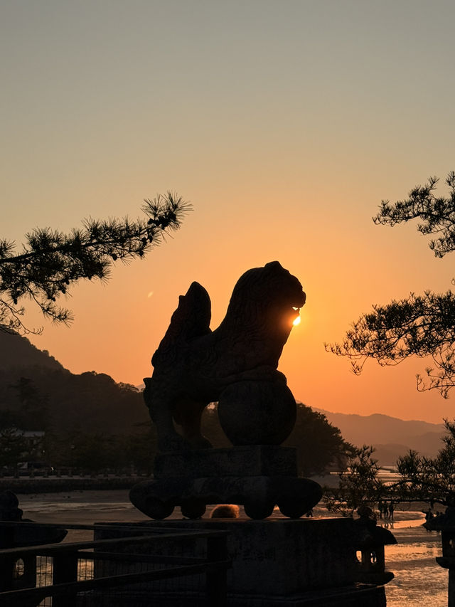 廣島｜嚴禁餵食的宮島鹿 原來是游過來的原住民