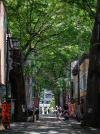 雑司が谷スナップ🍃 – 静かな街並みと歴史のあるエリア