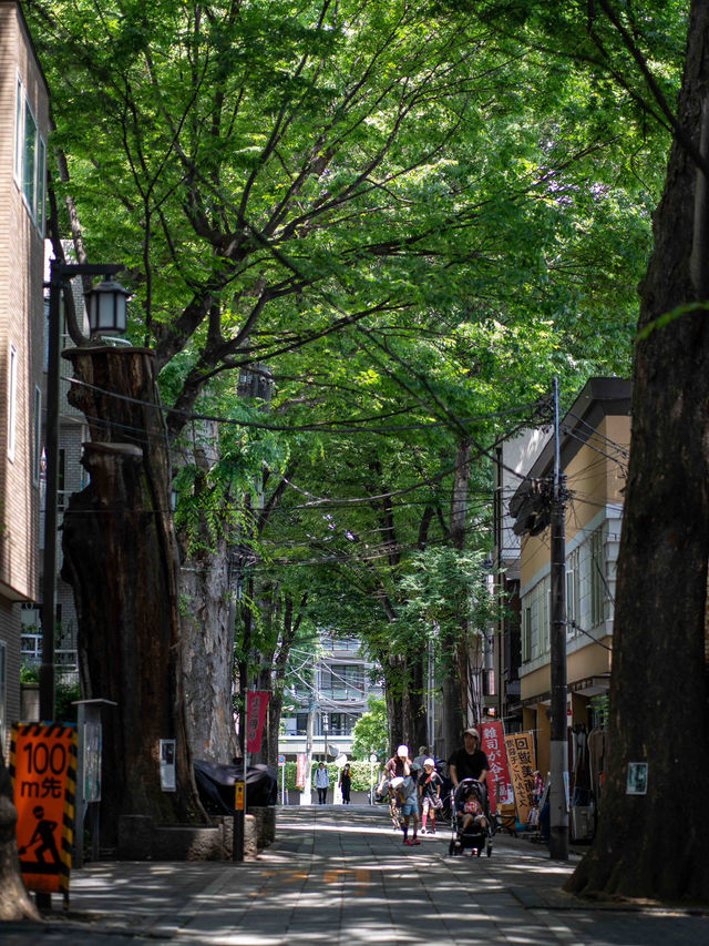 雑司が谷スナップ🍃 – 静かな街並みと歴史のあるエリア