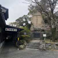 【山口県下関市長府🇯🇵忌宮神社】長府の中心に佇む歴史ある神社⛩️