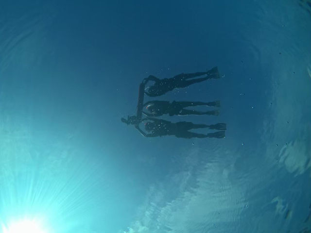 【石垣島】リアルリトルマーメイドの世界🪸🐠