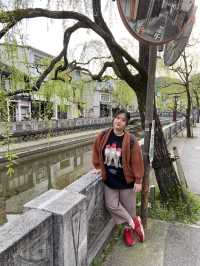 Kinosaki Onsen in Full bloom 