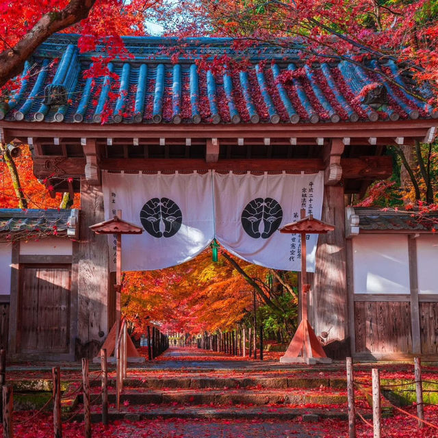 Oshino Hakkai 