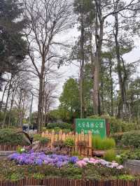 台北大森林公園｜城市裡的秘密花園