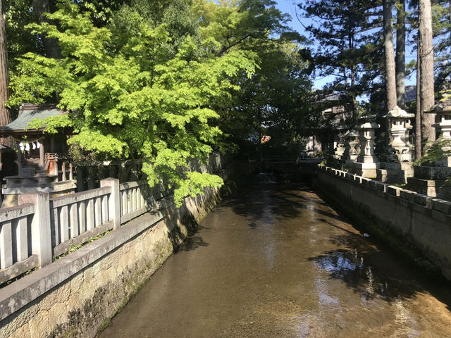 【多賀大社とカフェヤサシイウタ｜三重からちょっと足をのばす癒しの時間】