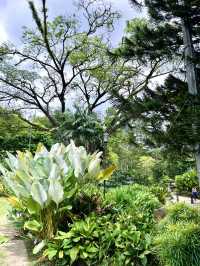“Urban Oasis: A Must-Visit Garden in Kuala Lumpur”