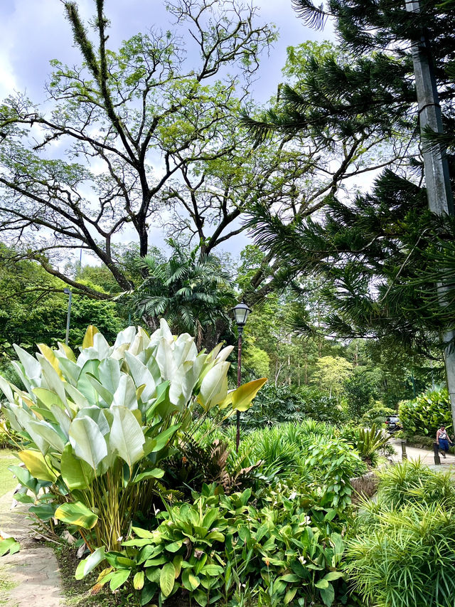 “Urban Oasis: A Must-Visit Garden in Kuala Lumpur”