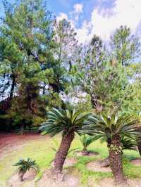 “KL’s Best-Kept Secret: The Lush Charm of Taman Saujana Hijau”