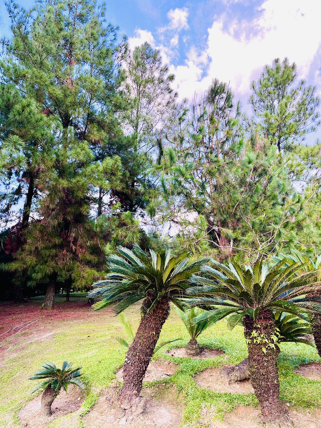 “KL’s Best-Kept Secret: The Lush Charm of Taman Saujana Hijau”