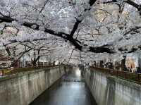 Meguro River