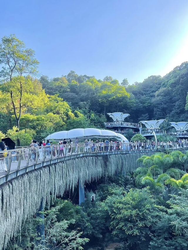 Where Nature Meets the City: Exploring Guangzhou’s Yunluo Botanical Garden