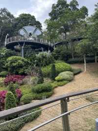 Where Nature Meets the City: Exploring Guangzhou’s Yunluo Botanical Garden