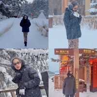 Snow Town Harbin! เมืองหิมะในฝัน 